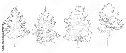 Photos Vector pack of conifers in elevation and plan view for use in architectural draw