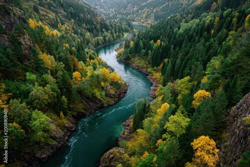 Serene River Flowing Through Vibrant Autumn Forest