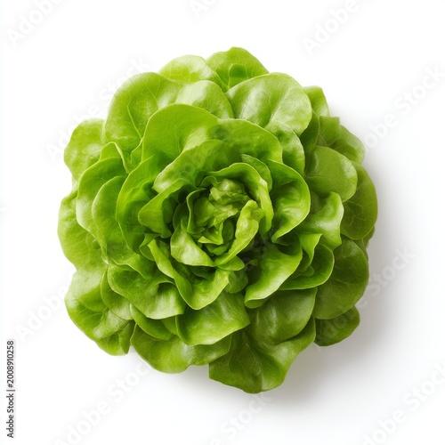Fresh Green Crisp Lettuce Head Isolated on White Background Ideal for Healthy Eating and Culinary Use