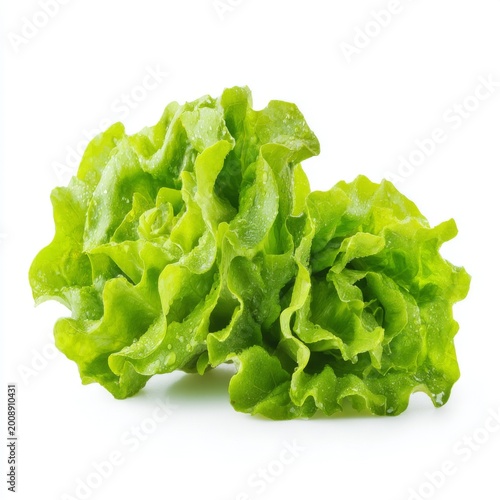 Fresh Green Lettuce Head with Water Drops Isolated on White Background for Healthy Eating and Cooking Concepts