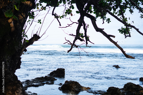 Картината върху платно Silhouette Tree Framing Blue Beach and Clear Sky at Pantai Sawarna