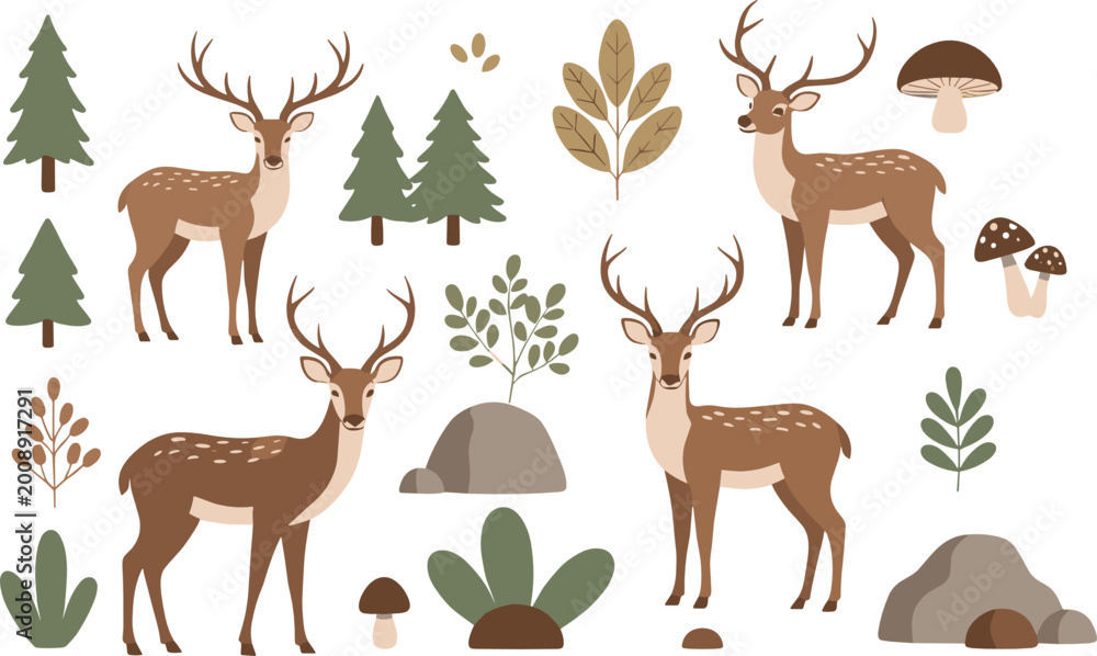 Fototapeta premium Forest and Woodland Vector Collection with Deer Trees Mushrooms Rocks and Leaves for Nature Wildlife Illustrations and Educational Designs