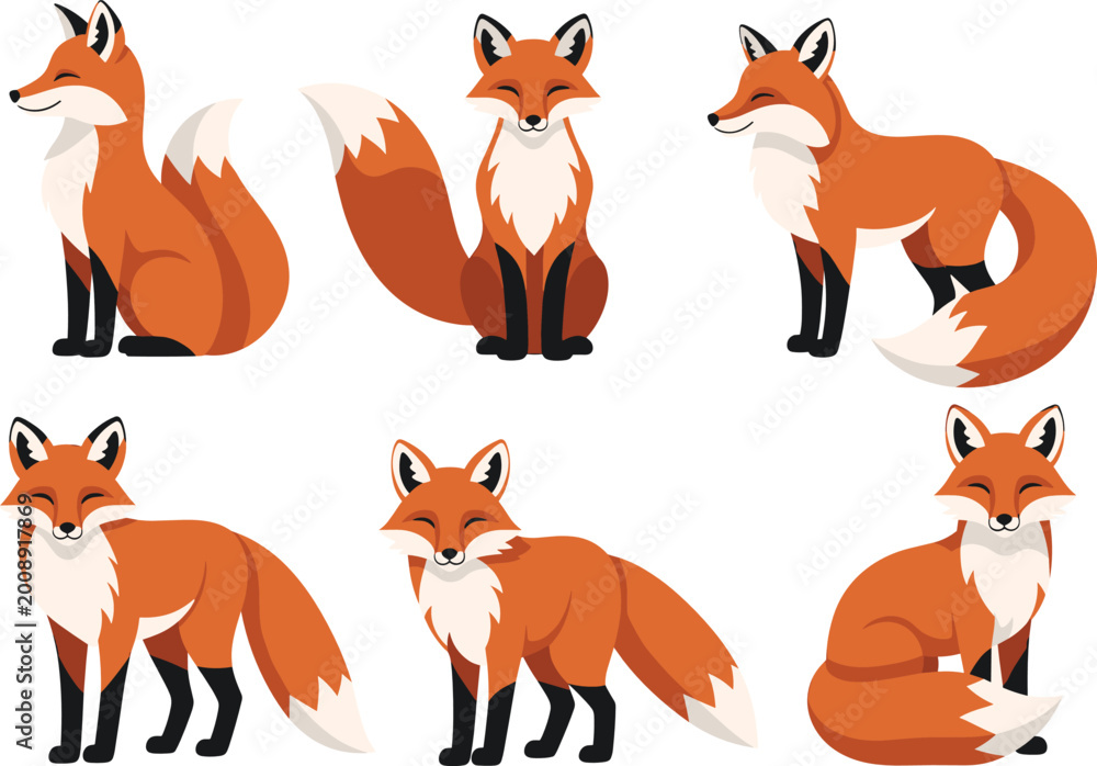 Fototapeta premium Fox Vector Collection with Red Fox Animals in Various Poses for Wildlife Illustrations Educational Designs and Nature Projects