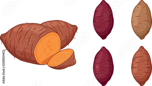Foto Sweet Potato Icon Set with Whole, Sliced, and Different Colored Yams for Healthy