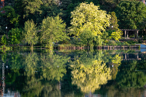 Reflections on the lake