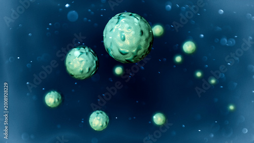 Orthohantavirus is a genus of viruses that includes all hantaviruses that cause disease in humans, but are not spread by humans. Hantaviruses are transmitted mainly through aerosols and droplets