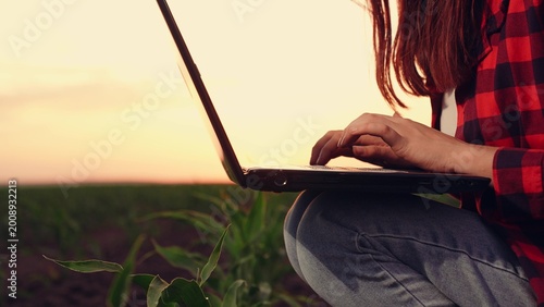 agriculture, woman farmer working laptop, farm field corn, modern farm business growing, agricultural tech sunset, tech-enhanced farming, farmer sunset productivity, digital farming tools, tech-savvy