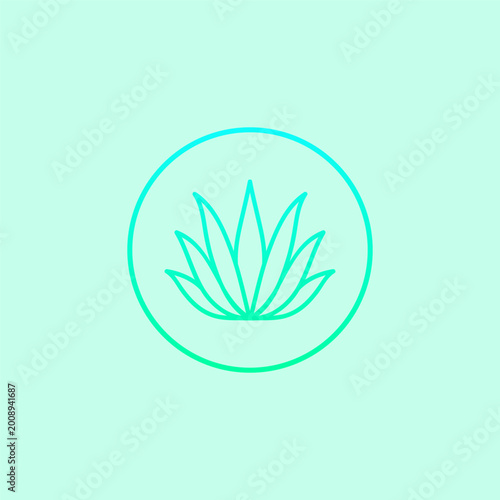 Minimal aloe vera plant icon in circular border design graphic vector asset