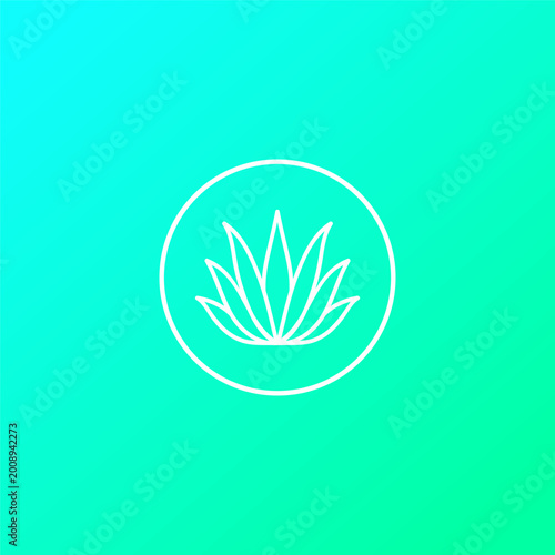 Minimal thin line aloe vera plant in a circular design logo vector white on a bluesy green graphic asset