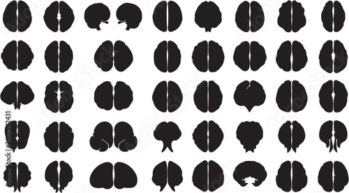 Foto Human Brain Anatomy Silhouettes in Various Views and Orientations