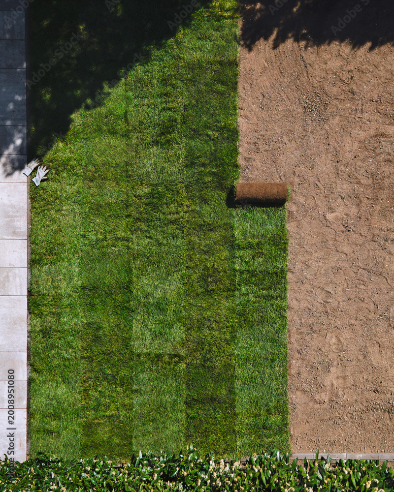 Naklejka premium Gardening. Making a lawn from a roll. Green grass texture - well-groomed turf in the garden. View of the garden from above.