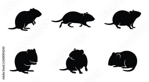 Black and white vector icons set featuring six different poses of rat silhouettes on a transparent background