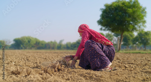 Canvastavla Indian elderly mature villager lady woman sitting field do work dry tilled soil residue outdoor rural area