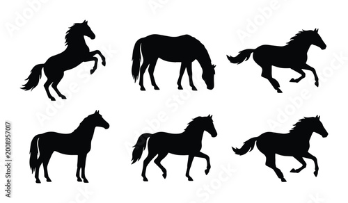 Fotografie vector set of six horse silhouettes in various poses on white background