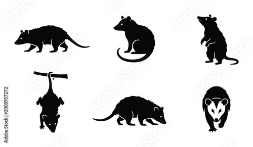 Canvastavla Opossum Silhouette Collection, Marsupial Wildlife Vector Icons, Nocturnal Mammal