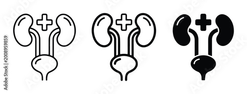 vector illustration of three kidney symbols with cross sign in medical context