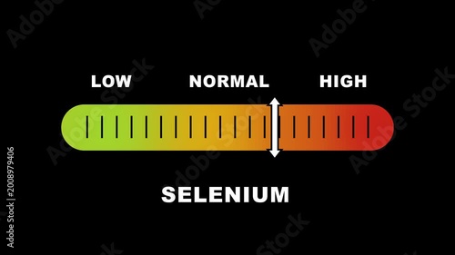 Selenium level indicator scale. Low normal & high meter infographic animation on black background. Showing high selenium level color gauge indicator for nutrition and antioxidant health monitoring.