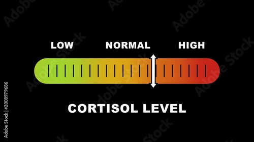 Cortisol level indicator scale. Low Normal High meter infographic animation on white background. Animation showing high cortisol level color gauge indicator for health and wellness content.