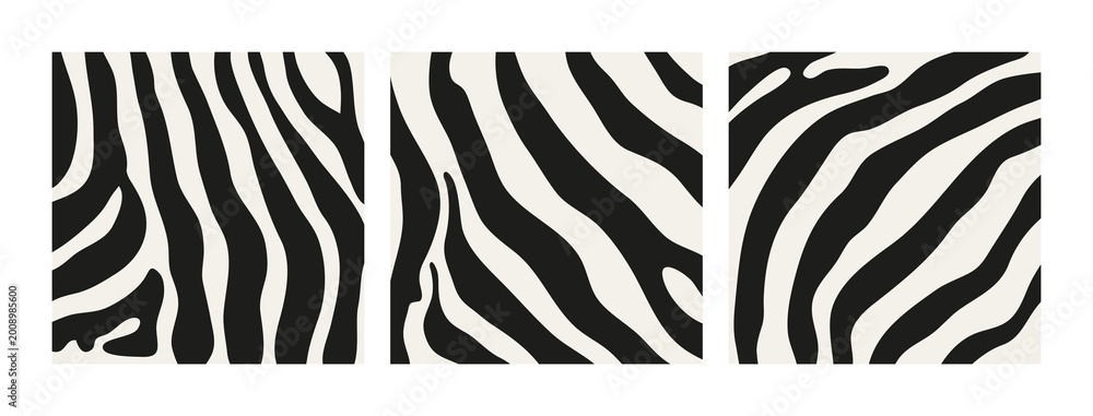Fototapeta premium Collection set striped zebra skin pattern. African wild animal skin texture for print, fabric, textile, wrapping paper, background, wallpaper.