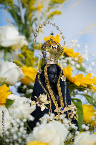 Obraz na plátně NOSSA SENHORA APARECIDA ADORNADA COM ROSAS