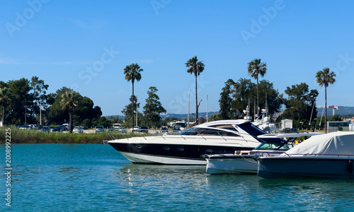  Scenic harbor view with yachts and sailboats docked at the marina under a partly cloudy sky, surrounded by palm trees and modern buildings.