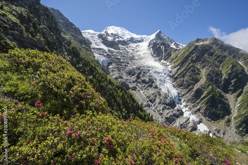Mountain landscape, view of glacier Glacier de Taconnaz, hiking La Jonction, Chamonix, Haute-Savoie, France