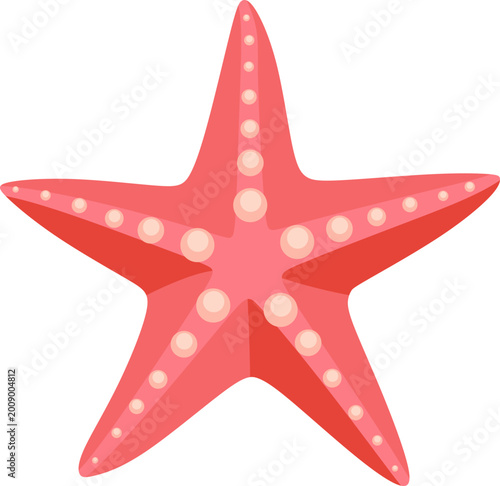 Illustration of a Starfish