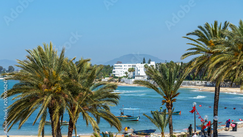 Cuadro en lienzo Palmiers au bord de mer à Hammamet en Tunisie