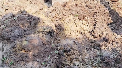 Excavator, digging a pond, drought and global warming.