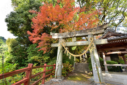 Vászonkép Daikozenji Temple is the most famous landmark in Kiyama, Saga Prefecture, Japan