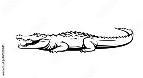 Black and white illustration of a crocodile isolated on a white background