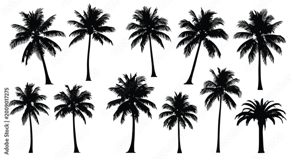 Fototapeta premium Silhouette collection of tropical palm trees in various shapes and sizes for summer beach designs