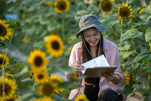 Woman researcher analyzing sunflower field data for agriculture