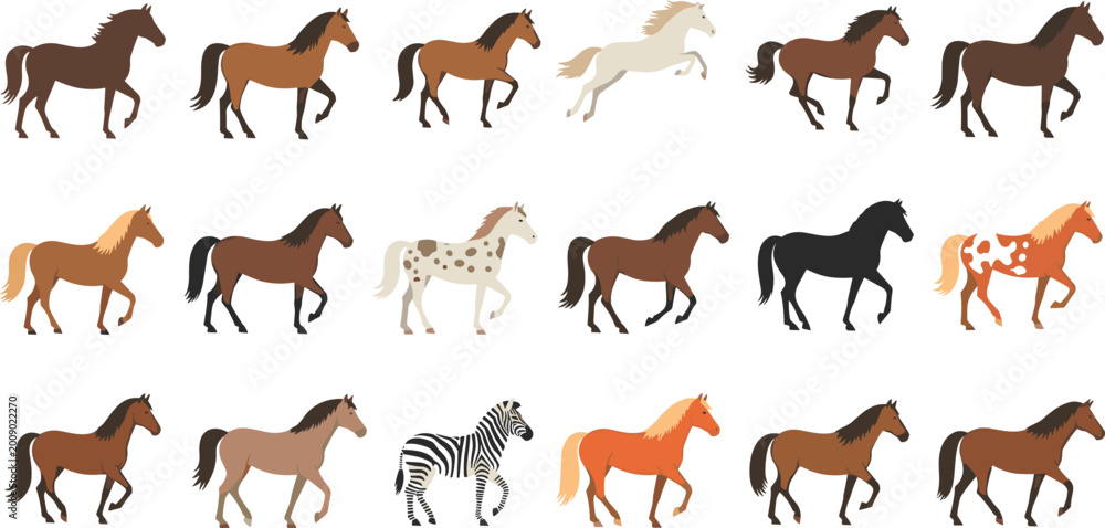 Fototapeta premium Large collection of horse breed vectors including stallions mares and a zebra in various walking and running poses isolated on white background.