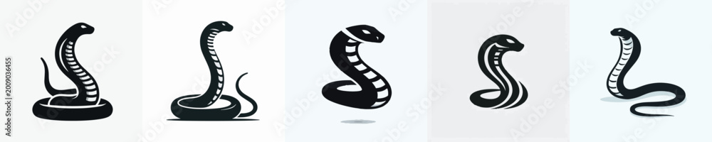 Fototapeta premium Snake Silhouette Vector Illustration