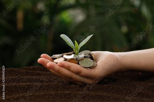 Growing Money Plant in Hand - Investment Growth and Financial Success Concept for Retirement Planning