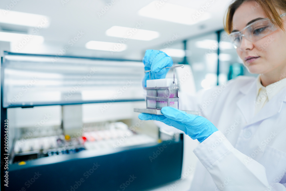 Fototapeta premium Clinical laboratory scientist monitoring automated hematology analyzer workflow metrics via digital LIMS tablet interface in smart diagnostic facility.