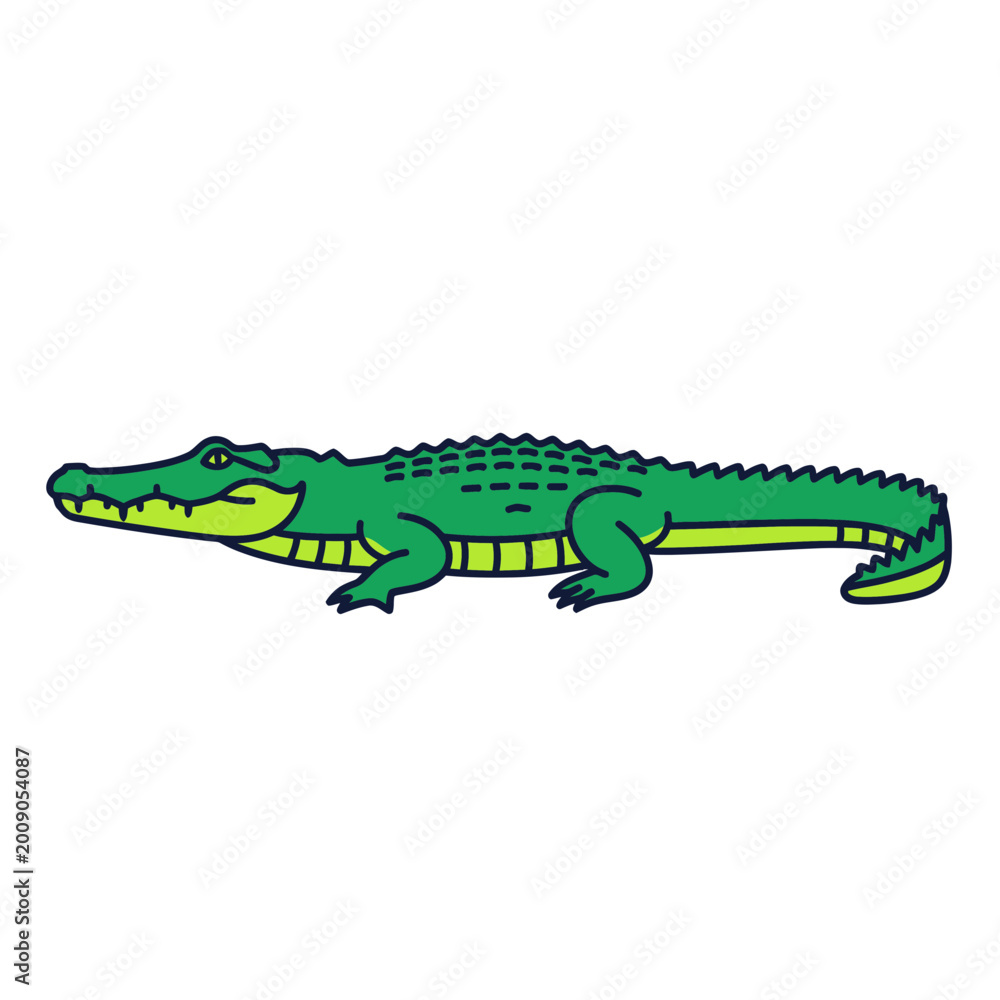 Fototapeta premium A Green Cartoon Alligator Isolated on Transparent Background
