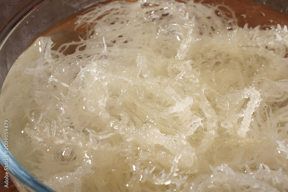 Obraz premium Fresh Sea Vegetables Soaking in Water - Translucent Kelp Seaweed for Asian Cooking
