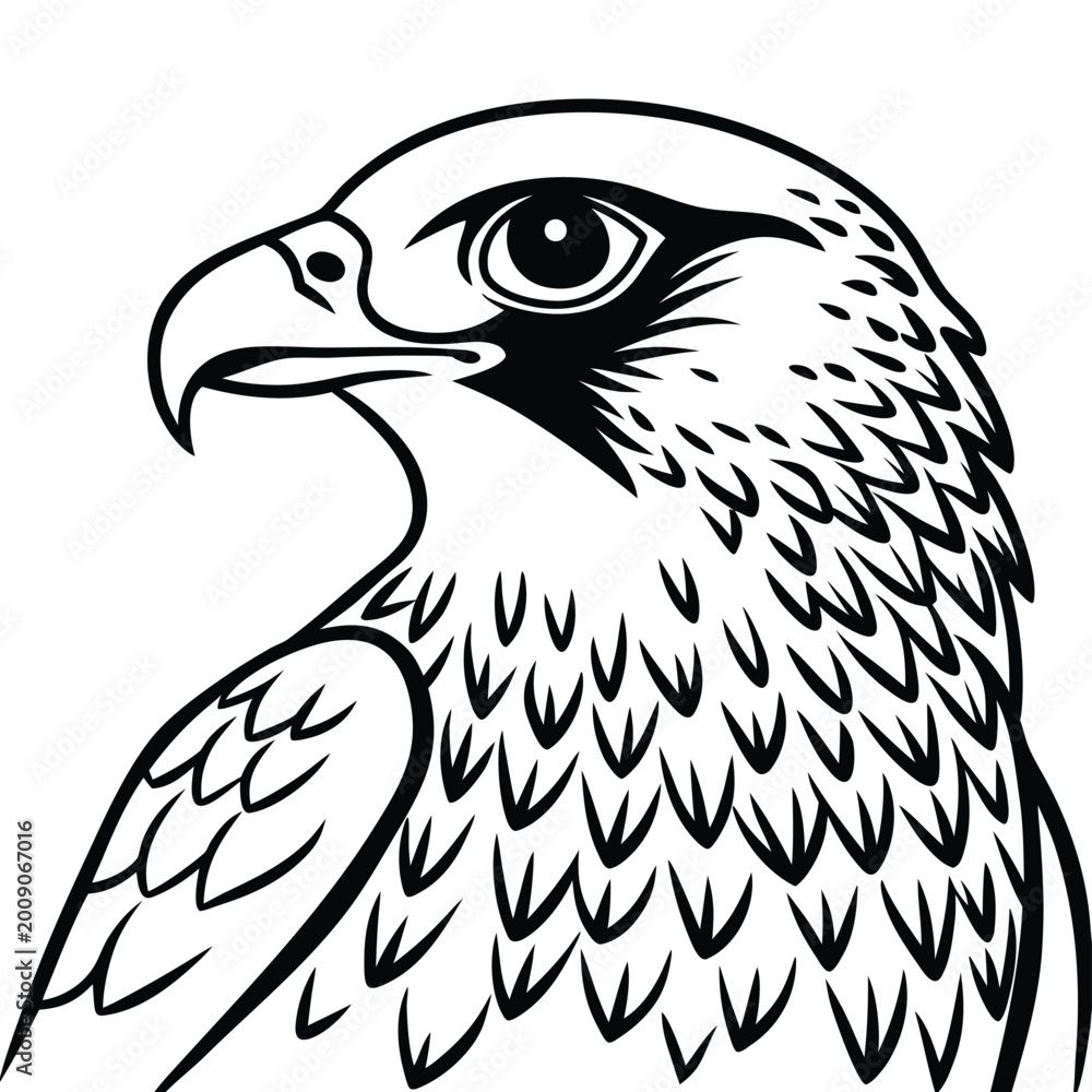 Fototapeta premium Egole vector icon on white background