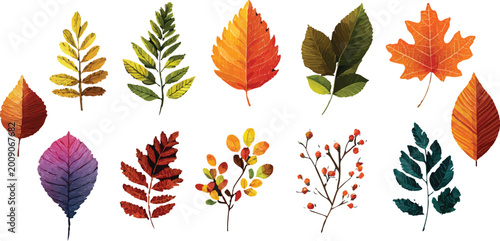 autumn leaves vector illustration