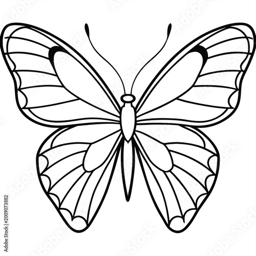 Фотография Betterfly vector