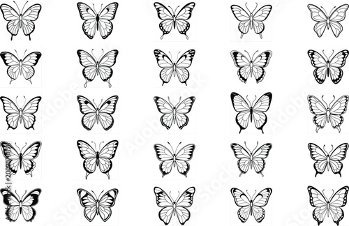 Фотография Betterfly vector