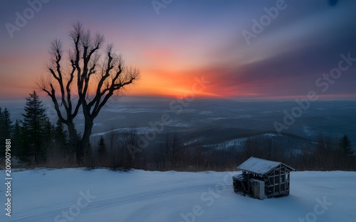 A solitary bare tree and small wooden shack sit on a vast snowy hill at sunset
