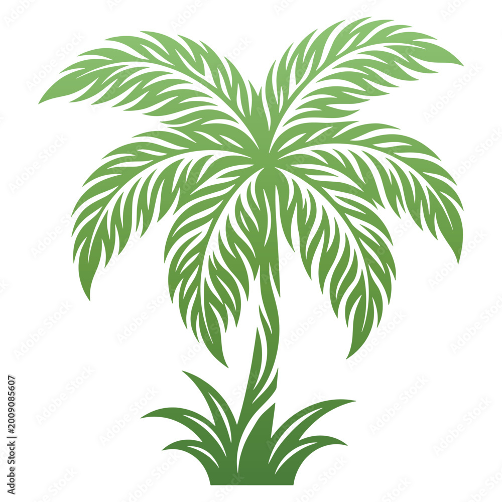 Fototapeta premium Green Palm Tree Tropical Plant.