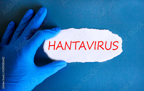 Hantavirus medical words symbol. Concept words Hantavirus on beautiful white paper. Beautiful blue background. Doctor hand. Blue glove. Medical Hantavirus concept. Copy space.