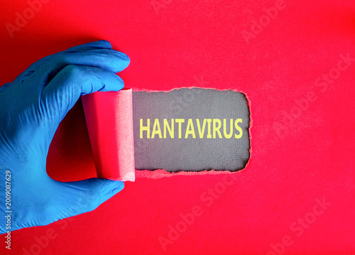 Hantavirus medical words symbol. Concept words Hantavirus on beautiful grey paper. Beautiful red background. Doctor hand. Medical Hantavirus concept. Copy space.
