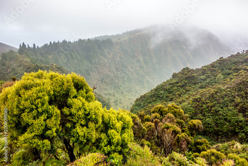 Walking inland of Sao Miguel biggest island of Azores