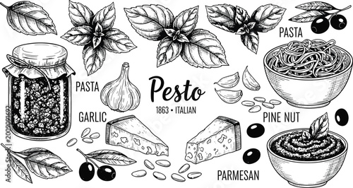 Billede på lærred Hand drawn Italian pesto sauce ingredients set with basil leaves, garlic, parmesan cheese, pine nuts, olive oil, and pasta bowls in vintage engraved sketch style