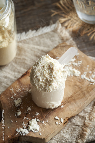 Whey protein powder in a measuring scoop